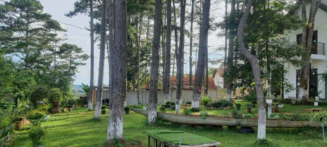 S'Nghe Homestay Mang Den Kon Von Kla Buitenkant foto