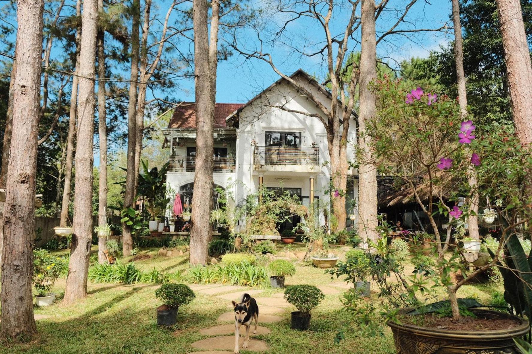 S'Nghe Homestay Mang Den Kon Von Kla Buitenkant foto