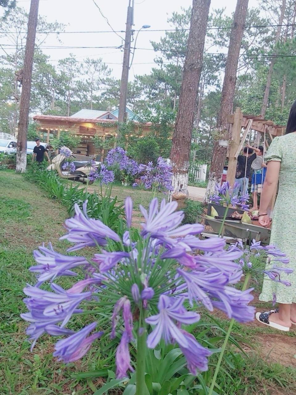 S'Nghe Homestay Mang Den Kon Von Kla Buitenkant foto