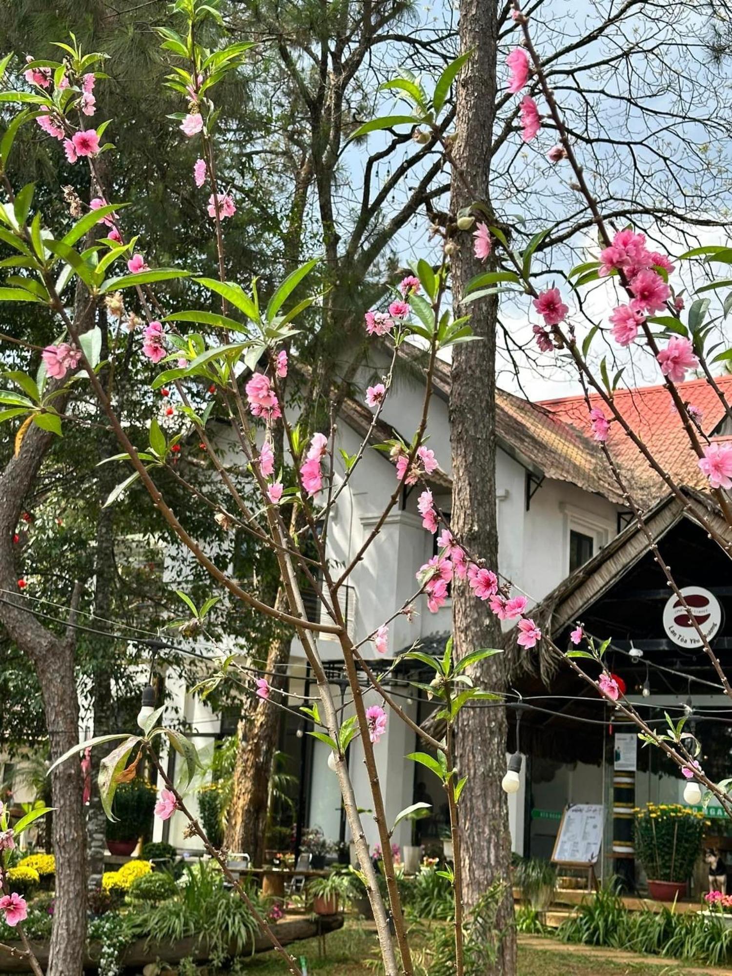 S'Nghe Homestay Mang Den Kon Von Kla Buitenkant foto