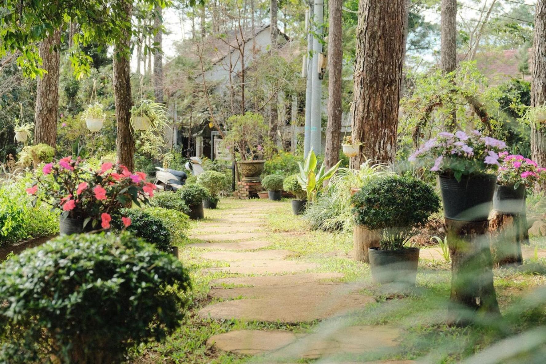 S'Nghe Homestay Mang Den Kon Von Kla Buitenkant foto