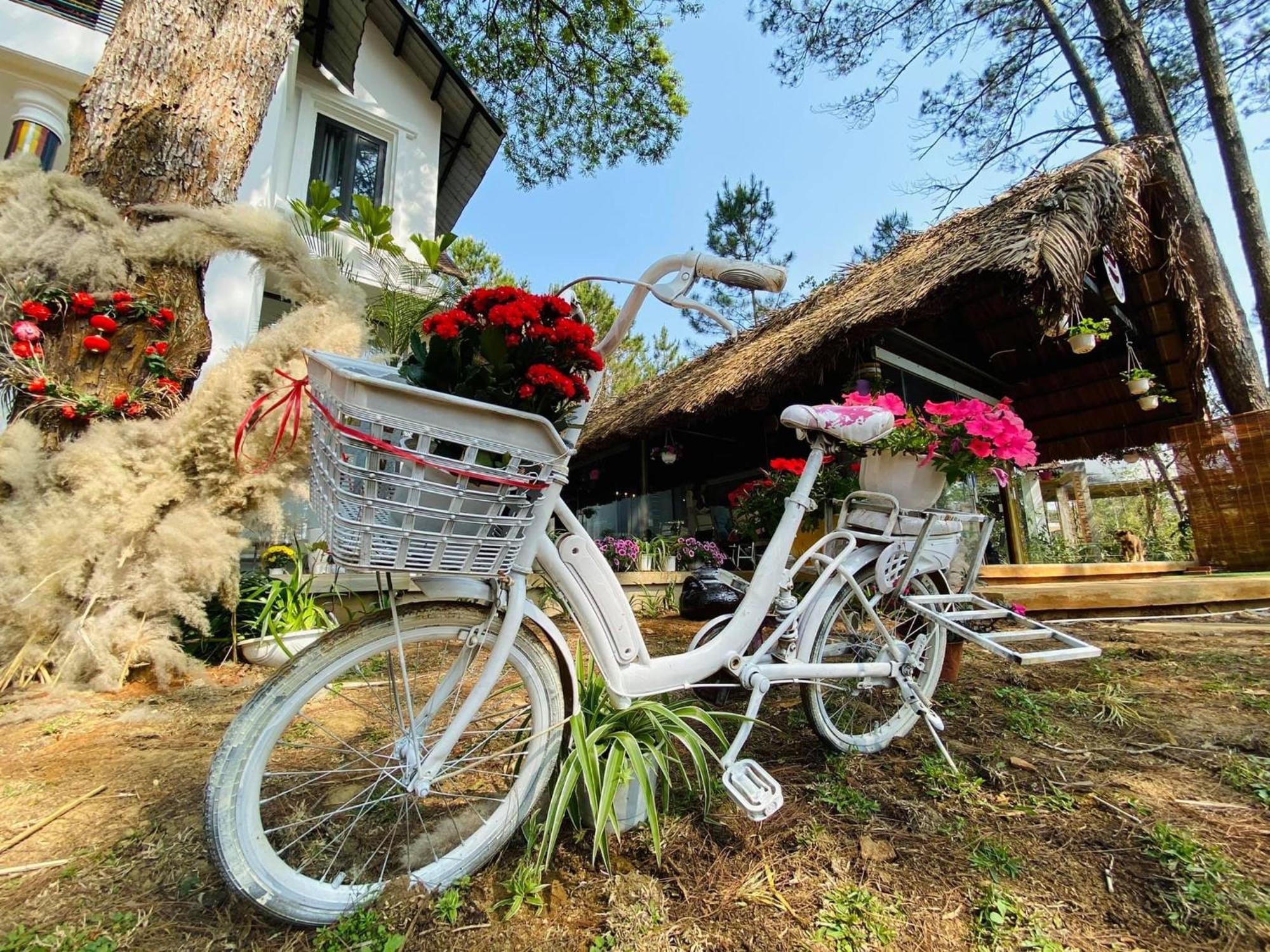S'Nghe Homestay Mang Den Kon Von Kla Buitenkant foto